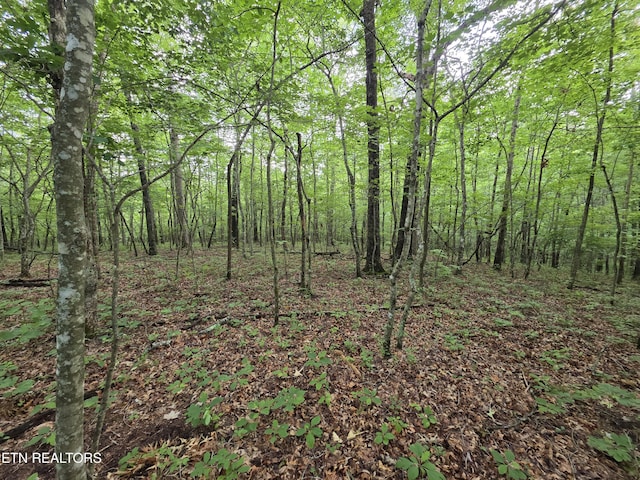 12 Street Place Loop, Monterey, TN 38574