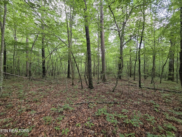 12 Street Place Loop, Monterey, TN 38574