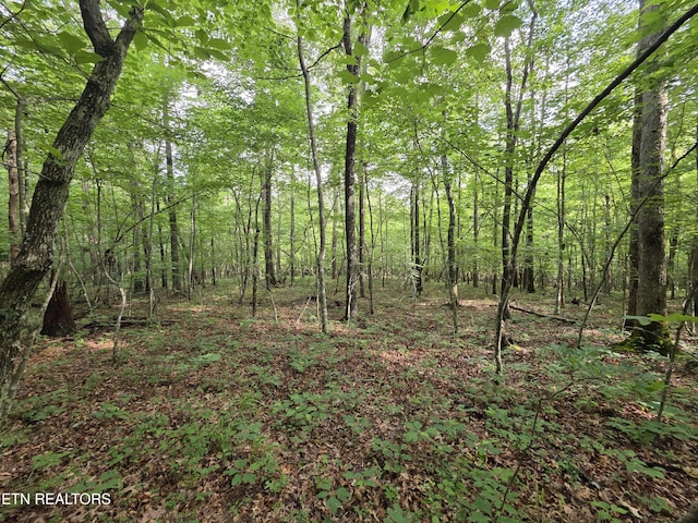 12 Street Place Loop, Monterey, TN 38574