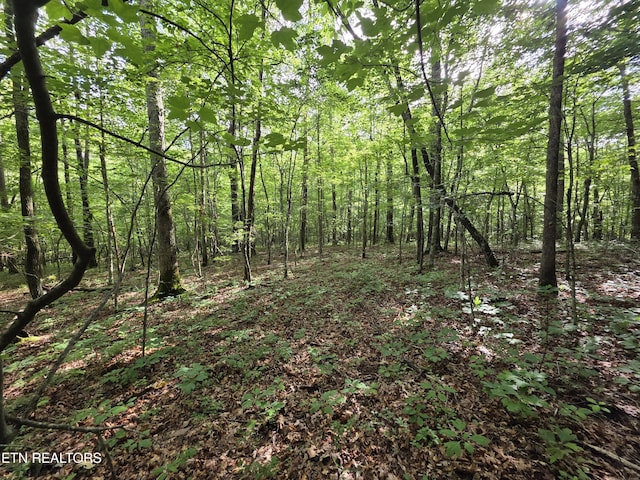 12 Street Place Loop, Monterey, TN 38574