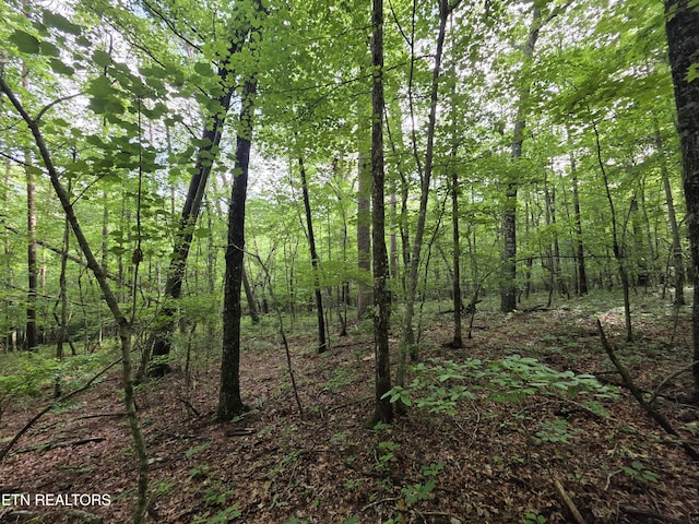 12 Street Place Loop, Monterey, TN 38574