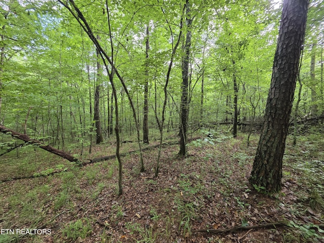 12 Street Place Loop, Monterey, TN 38574