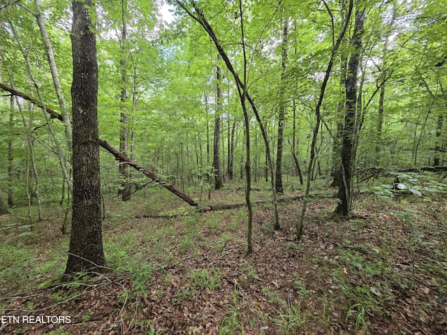 12 Street Place Loop, Monterey, TN 38574