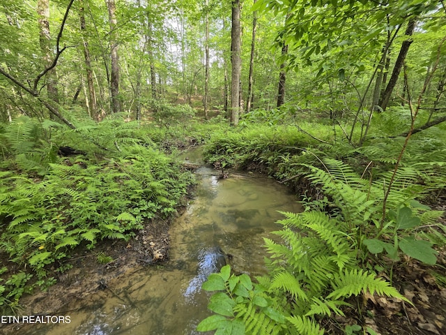12 Street Place Loop, Monterey, TN 38574