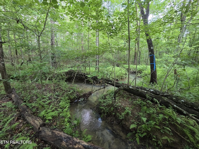 12 Street Place Loop, Monterey, TN 38574