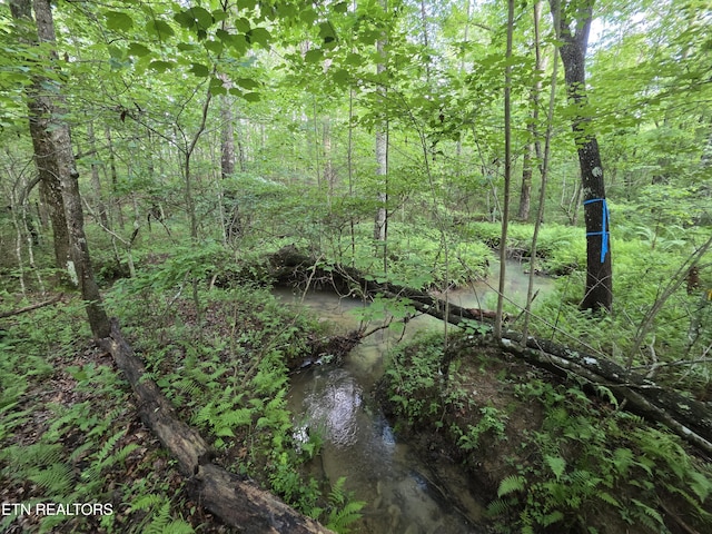 12 Street Place Loop, Monterey, TN 38574