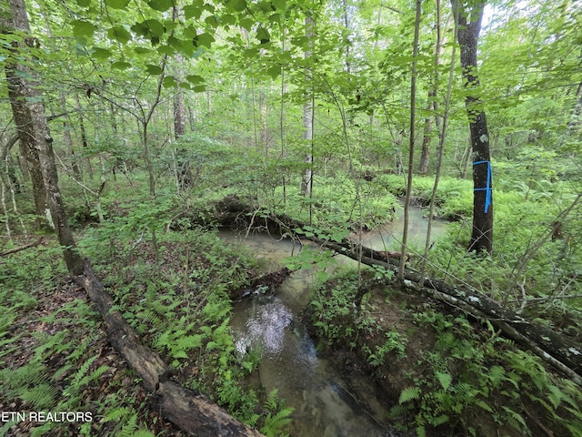 12 Street Place Loop, Monterey, TN 38574