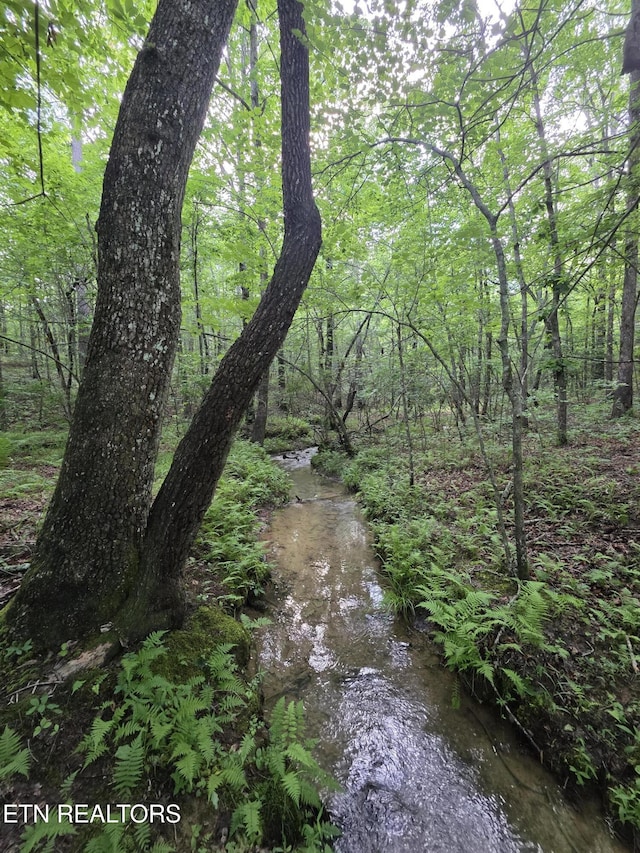 12 Street Place Loop, Monterey, TN 38574