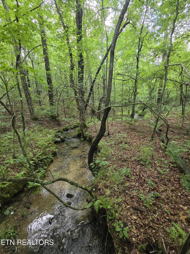 12 Street Place Loop, Monterey, TN 38574