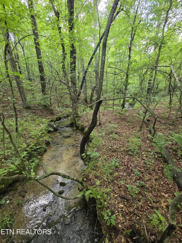 12 Street Place Loop, Monterey, TN 38574