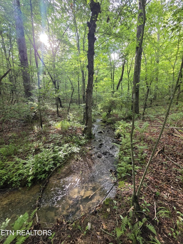 12 Street Place Loop, Monterey, TN 38574