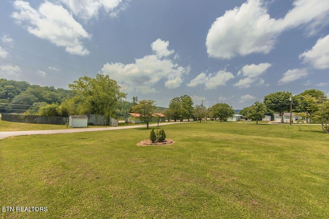 107 Hillcrest Dr, Harriman, TN 37748 - photo 24