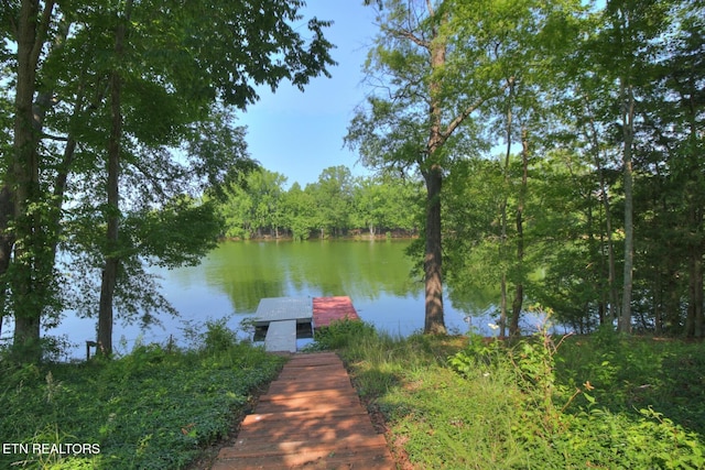 1023 Stokley Ct, Dandridge, TN 37725 - dock area featuring a water view