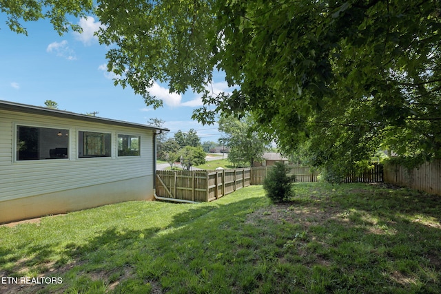 7901 Ewing Rd, Powell, TN 37849 - view of yard