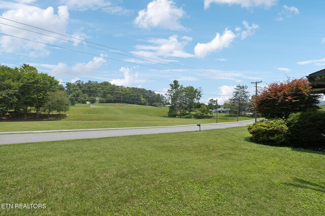 7901 Ewing Rd, Powell, TN 37849 - view of community featuring a yard
