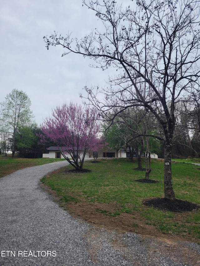 1497 Clevenger Rd, New Market, TN 37820 - view of front of property with gravel driveway, a garage, and a front lawn