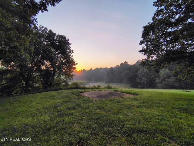 206 Hot Water Rd, Tellico Plains, TN 37385 - photo 26