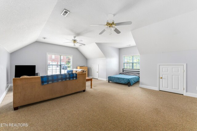 7924 Cedar Stone Ln, Powell, TN 37849 - carpeted bedroom with vaulted ceiling, multiple windows, a ceiling fan, and a textured ceiling