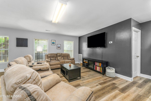 7924 Cedar Stone Ln, Powell, TN 37849 - living area featuring light wood-style flooring and plenty of natural light