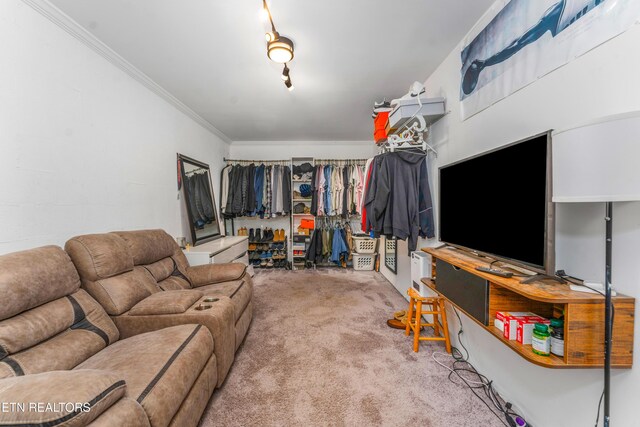 7924 Cedar Stone Ln, Powell, TN 37849 - living area featuring carpet and ornamental molding