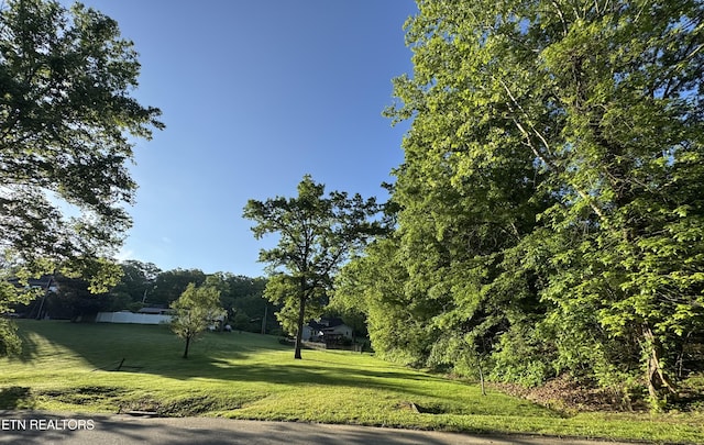 212 Old Castle Rd, Kingsport, TN 37660 - photo 51
