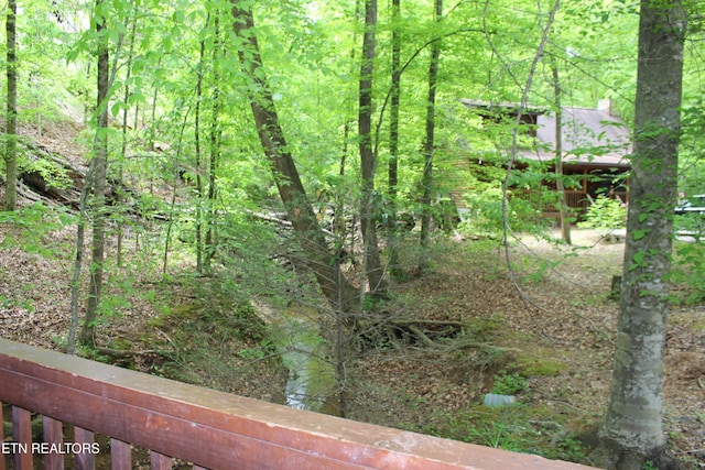 3006 Eagles Claw Way, Pigeon Forge, TN 37863 - view of yard featuring a view of trees
