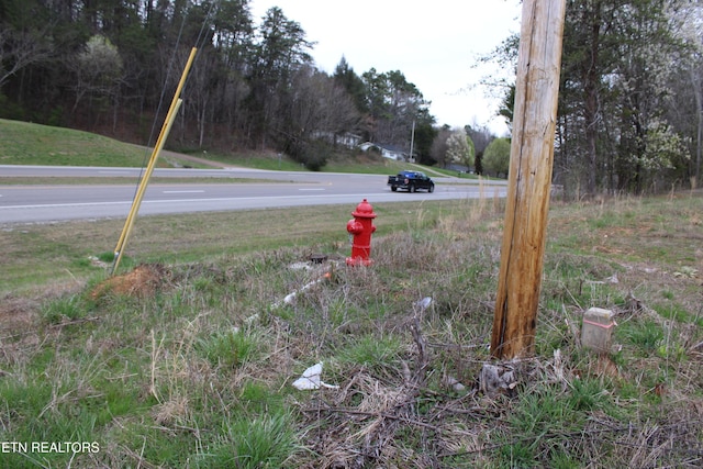 00 Rhea County Hwy, Dayton, TN 37321 - photo 2