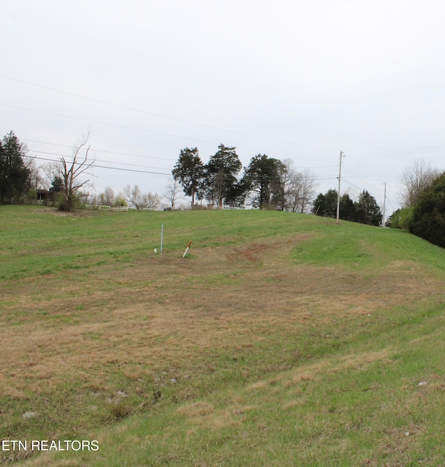 00 Rhea County Hwy, Dayton, TN 37321 - photo 10