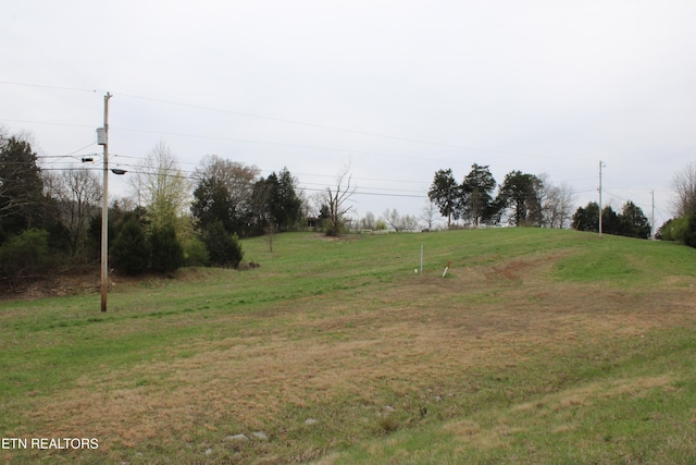 00 Rhea County Hwy, Dayton, TN 37321 - photo 11