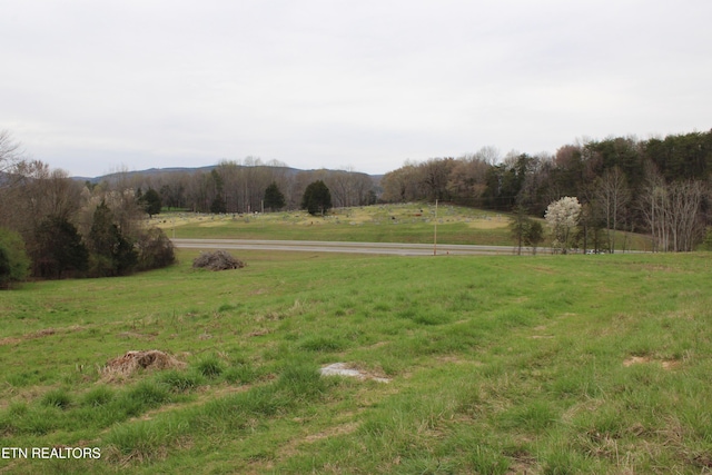 00 Rhea County Hwy, Dayton, TN 37321 - photo 14