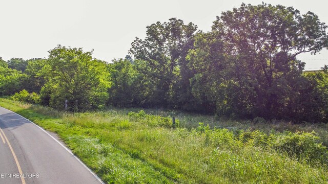 Brethren Church Rd, White Pine, TN 37890 - photo 9