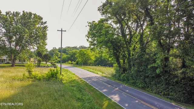 Brethren Church Rd, White Pine, TN 37890 - photo 6
