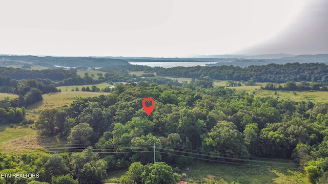 Brethren Church Rd, White Pine, TN 37890 - photo 2