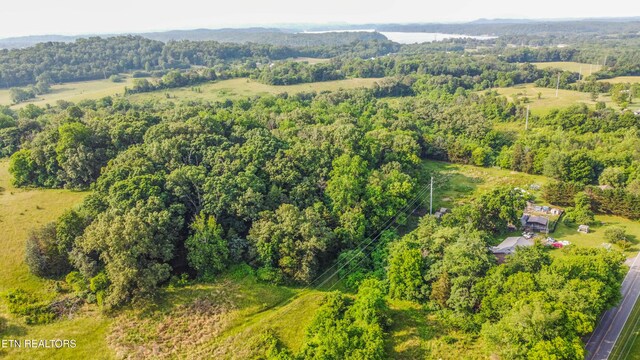 Brethren Church Rd, White Pine, TN 37890 - photo 10