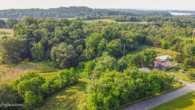 Brethren Church Rd, White Pine, TN 37890 - photo 11