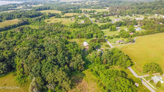 Brethren Church Rd, White Pine, TN 37890 - photo 12