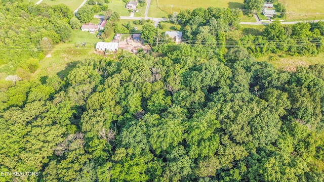 Brethren Church Rd, White Pine, TN 37890 - photo 15