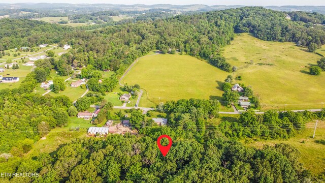 Brethren Church Rd, White Pine, TN 37890 - photo 8
