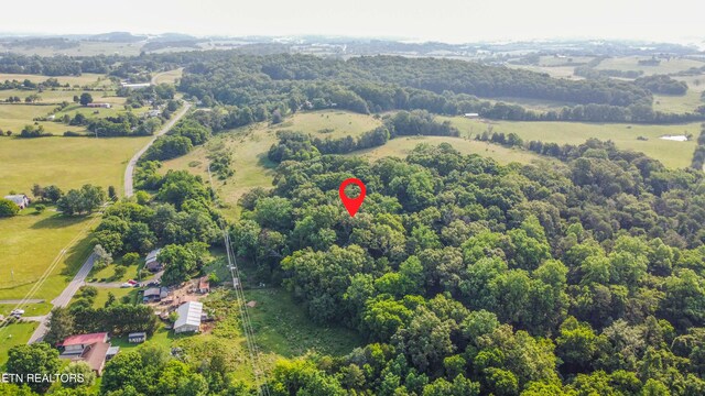 Brethren Church Rd, White Pine, TN 37890 - photo 7