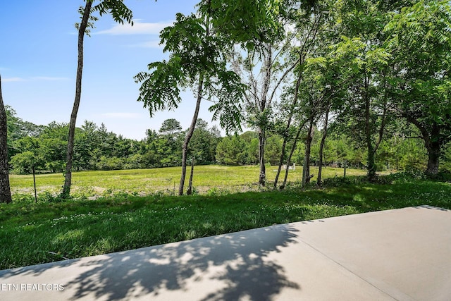20 Cabot Ln, Cookeville, TN 38506 - view of green lawn with a view of trees