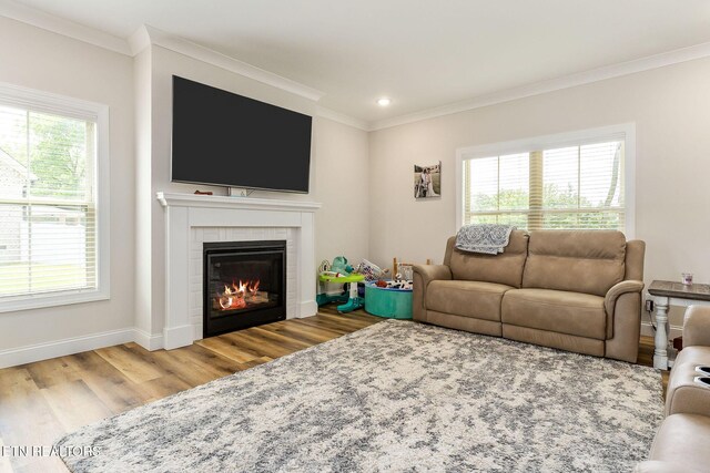 20 Cabot Ln, Cookeville, TN 38506 - living room featuring wood finished floors, crown molding, a fireplace, and baseboards