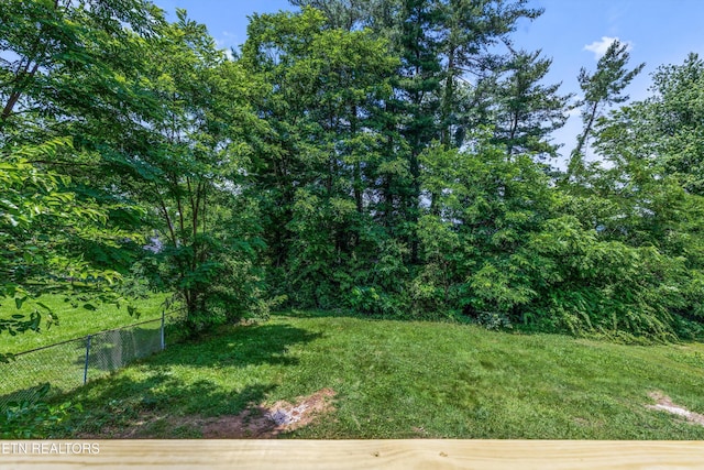340 Gilbert St, Morristown, TN 37814 - view of yard