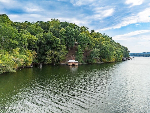 542 Sunset Hills Ln, Spring City, TN 37381 - photo 1