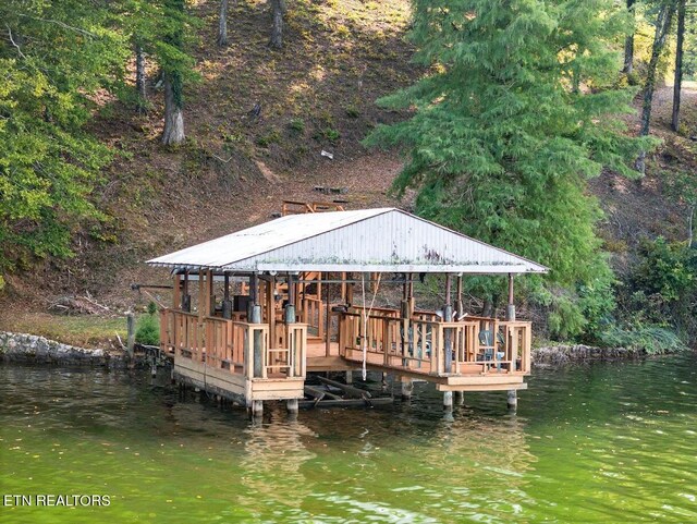542 Sunset Hills Ln, Spring City, TN 37381 - photo 3