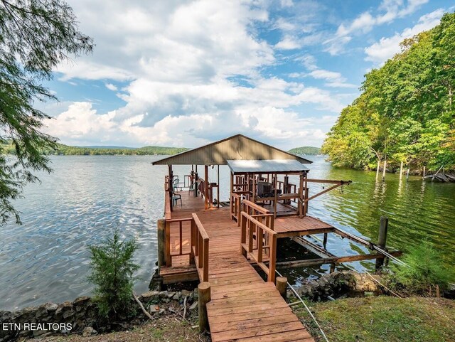 542 Sunset Hills Ln, Spring City, TN 37381 - photo 5