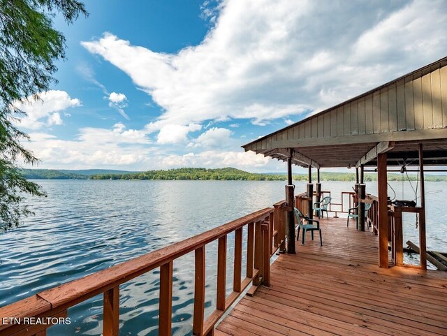 542 Sunset Hills Ln, Spring City, TN 37381 - photo 6