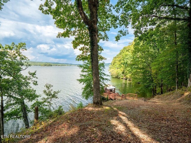 542 Sunset Hills Ln, Spring City, TN 37381 - photo 18