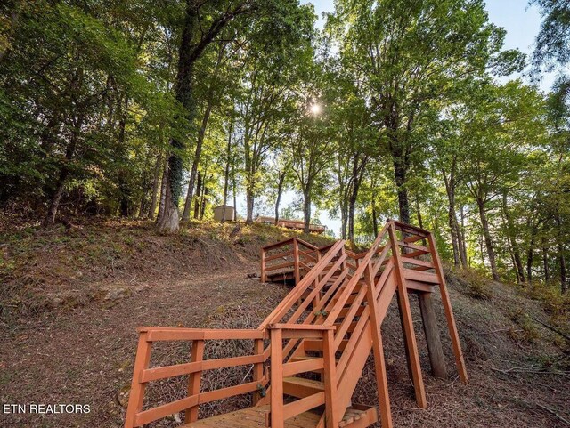 542 Sunset Hills Ln, Spring City, TN 37381 - photo 20