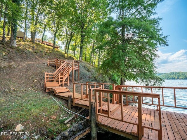 542 Sunset Hills Ln, Spring City, TN 37381 - photo 21