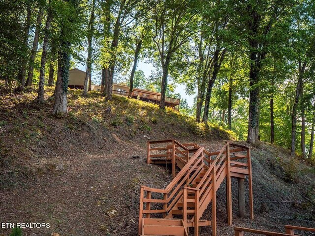 542 Sunset Hills Ln, Spring City, TN 37381 - photo 22